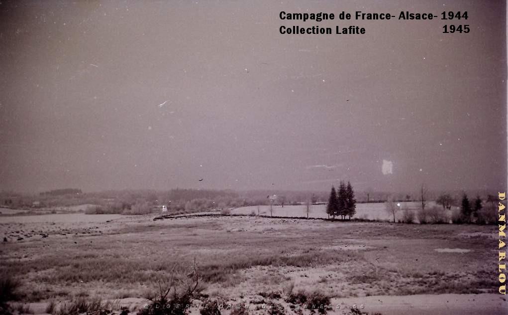 CAMPAGNE DE FRANCE ALSACE 1944 45  (19).JPG